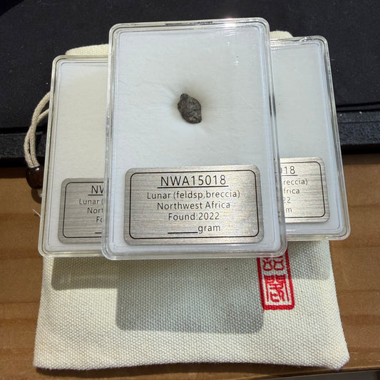 NWA 15018 月球隕石